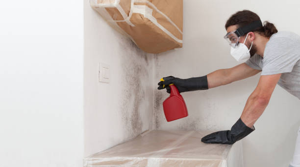 Professional Mold Removal technician working in Highland Park, IL